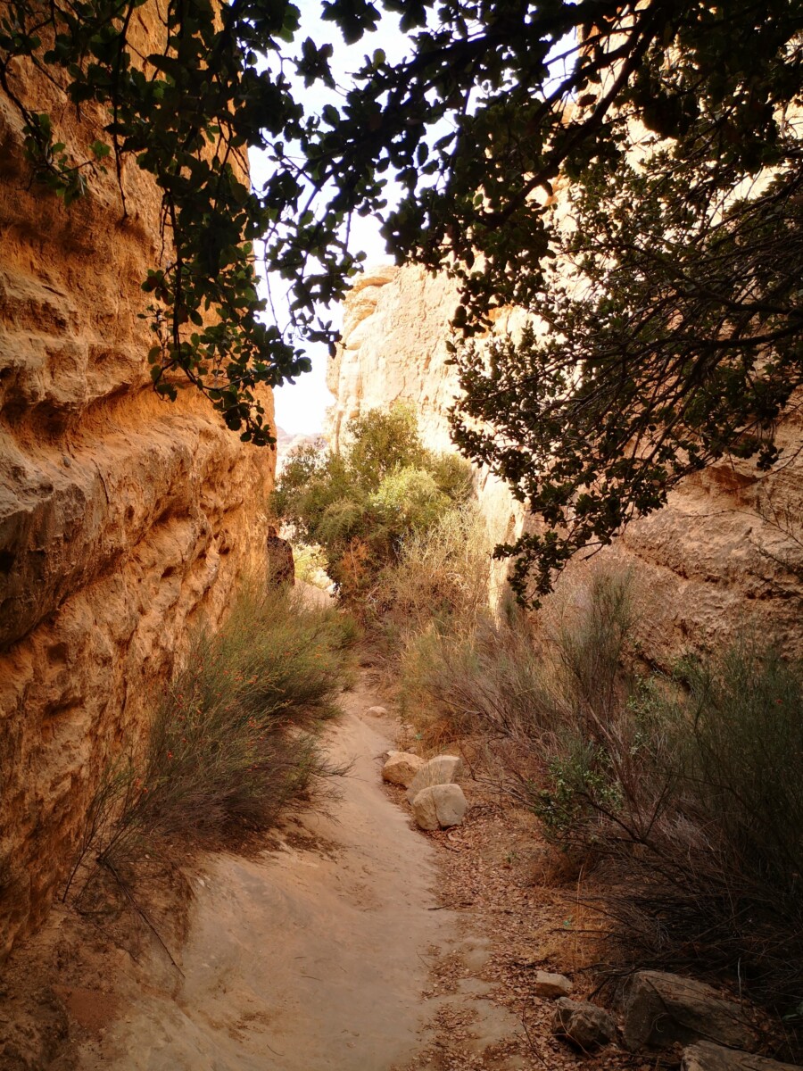 Shaq Al Reesh Trail - Dana, Jordanië Shaq Al Reesh Trail - Dana, Jordanië