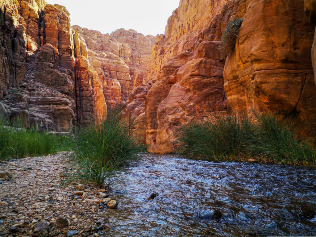 De mooiste wadi van Jordanië - Ga het avontuur aan in de Wadi Mujib