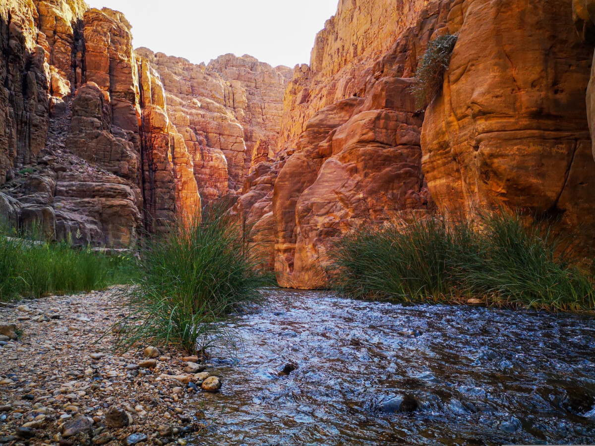 De mooiste wadi van Jordanië - Ga het avontuur aan in de Wadi Mujib De mooiste wadi van Jordanië - Ga het avontuur aan in de Wadi Mujib