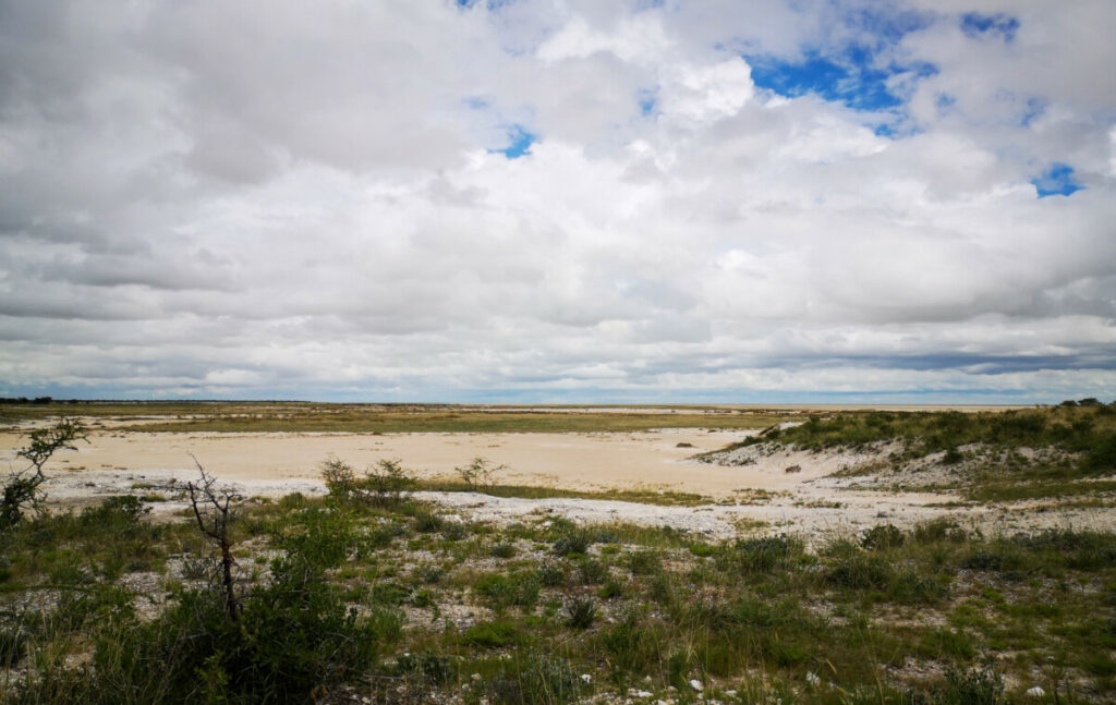 Adamax Pan - Etosha NP