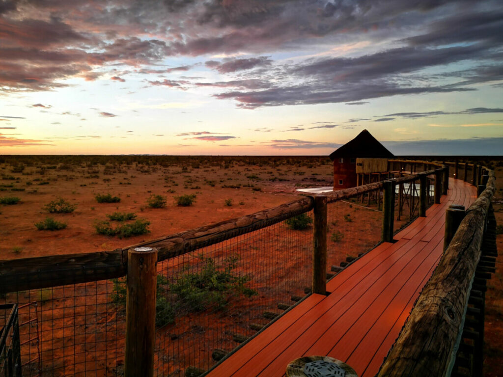 6 dagen safari in Etosha NP - Namibië - Haal alles uit je Etosha bezoek