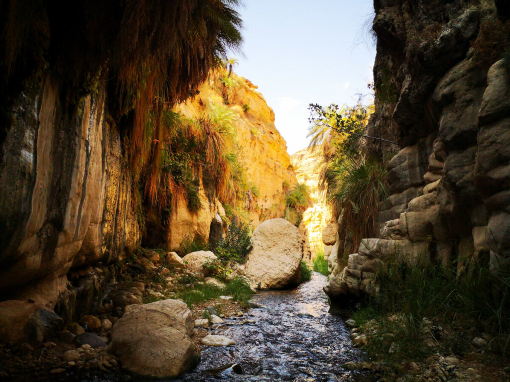 Hiking in Wadi bin Hammad - Jordan