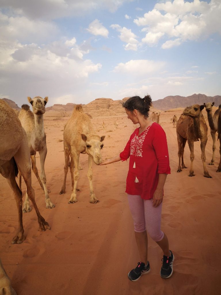Mohammed laat ons kennis maken met de Wadi Rum kamelen