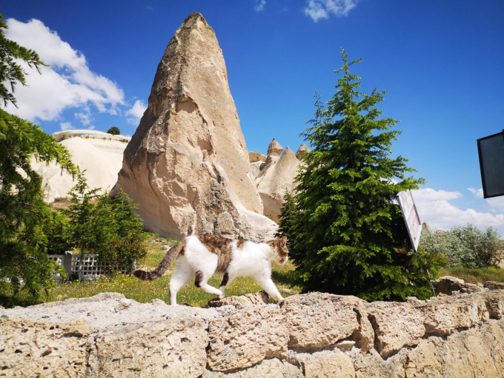 Net buiten Çavuşin bij de begraafplaats - Cappadocië