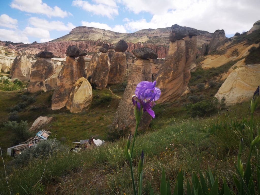 Uitzicht vanaf de berg in Çavuşin - Cappadocië