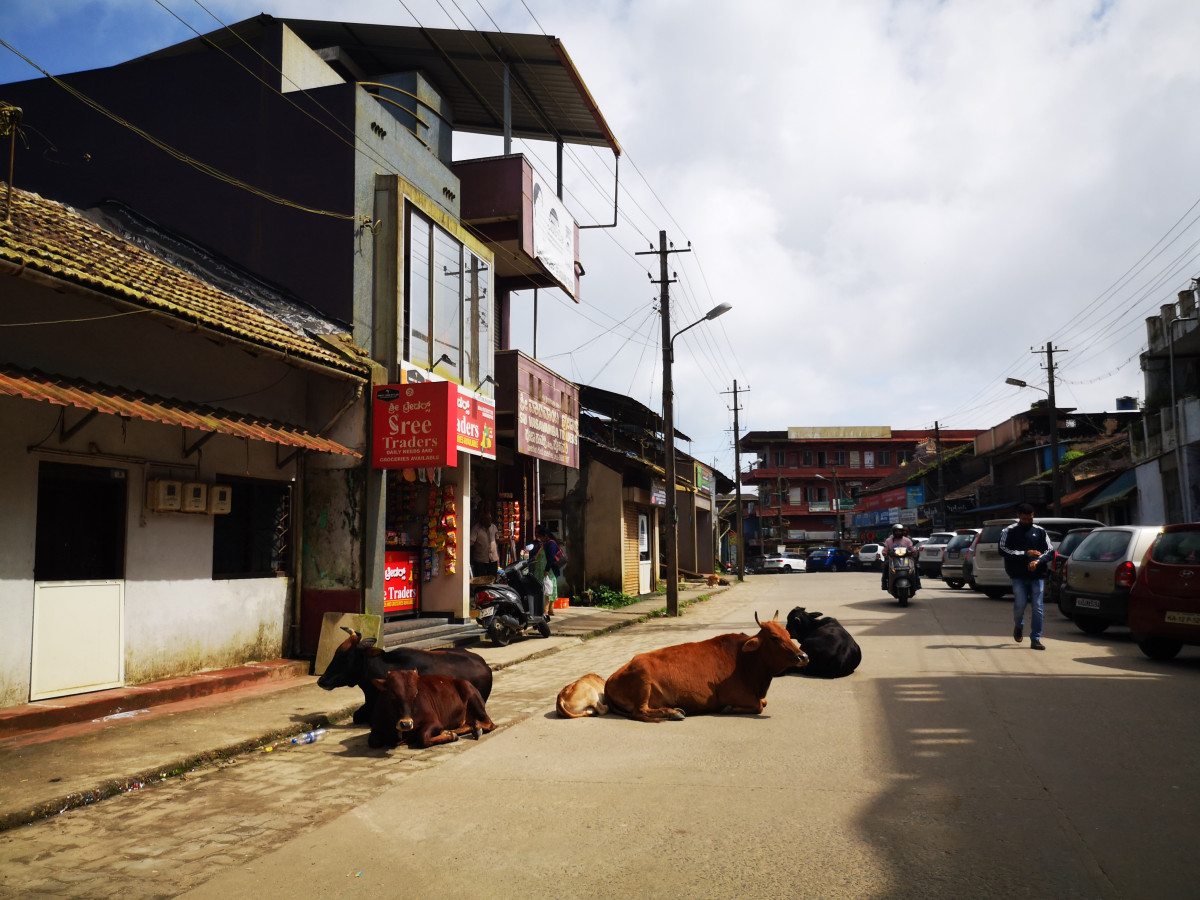 Streetview India