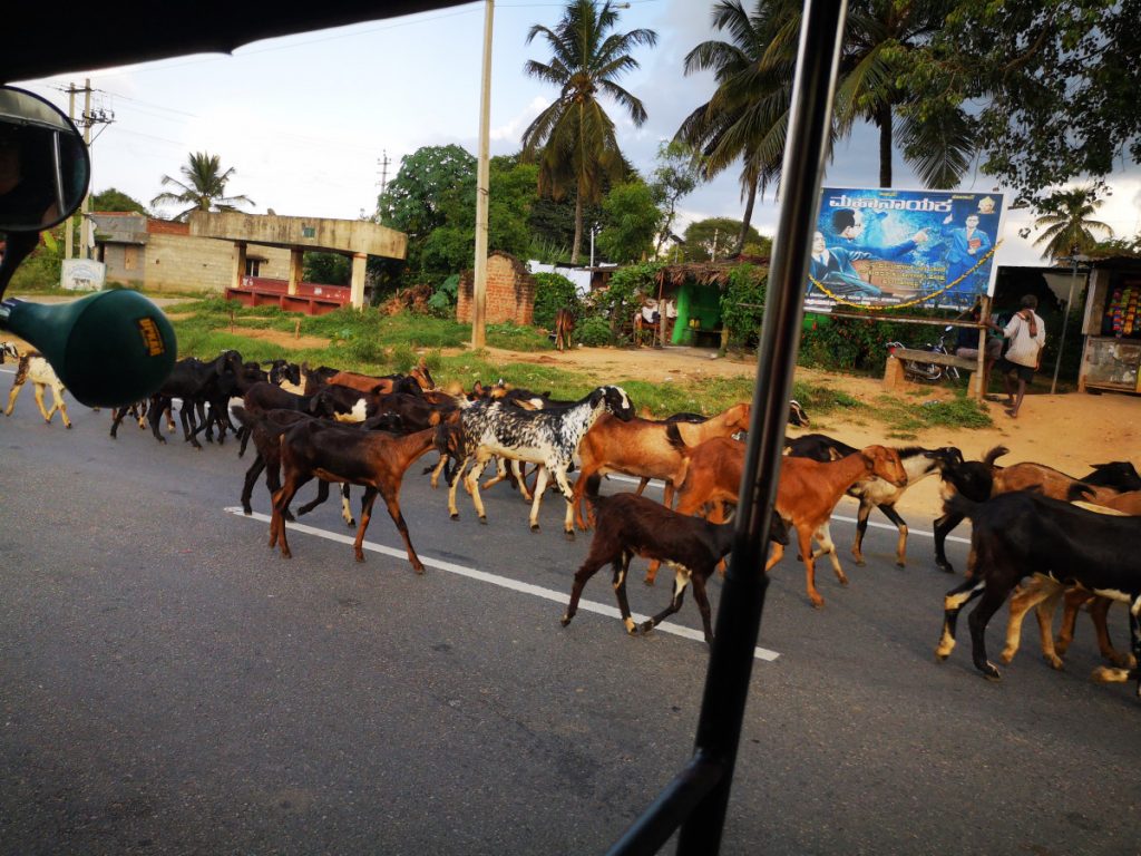 Zwaaiende voorbijgangers in India