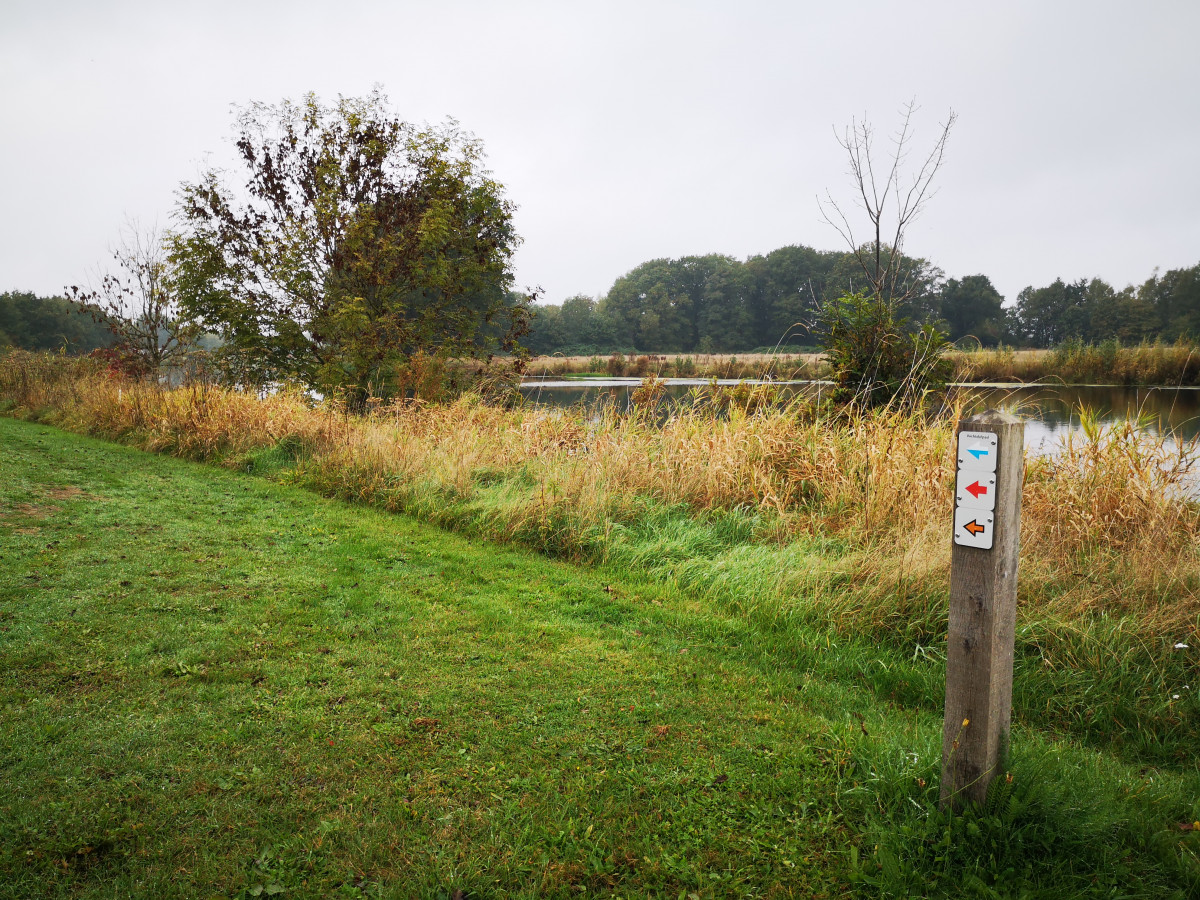 De Vecht - Wandelen in het Vechdal