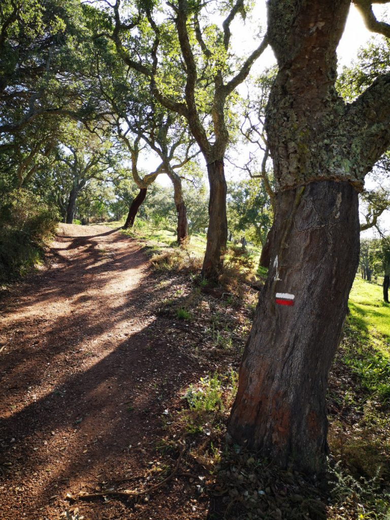 Safe and Healthy Travel on the Rota Vicentina - Historical Way Portugal - Stage 1, 2 & 3