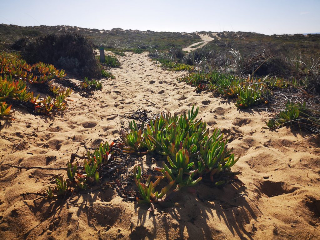 Wandelen langs de Atlantische Oceaan op de Fishermen's Trail - Portugal