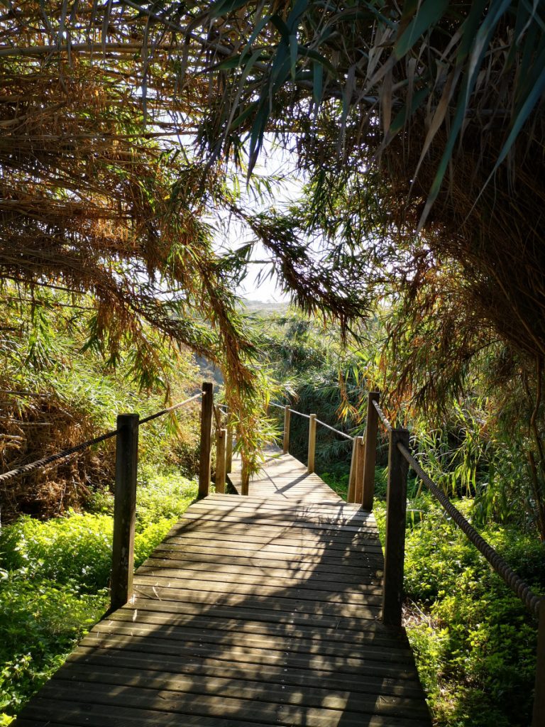 Stage 5 - Ambujeira do Mar to Odeceixe - 18,5 km Hiking along the Atlantic Ocean