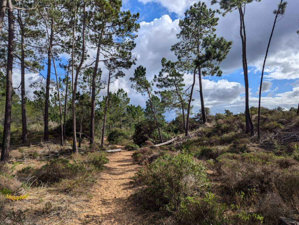 Aljezur naar Arrifana - wandelen op de Fishermen's Trail - Portugal