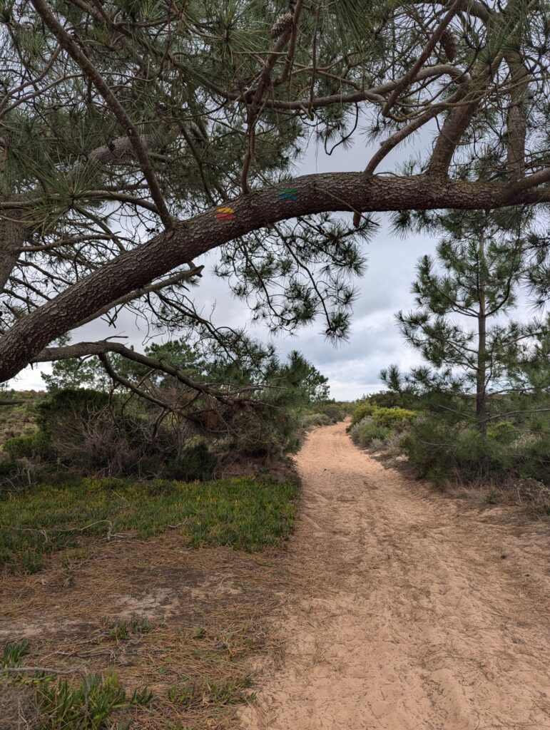 Arrifana naar Carrapateira - Fishermen's Trail Portugal