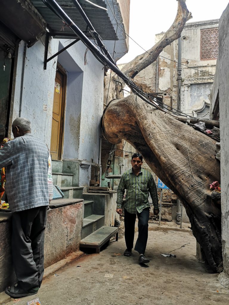 A street in Chandni Chowk - Delhi - India for the first time