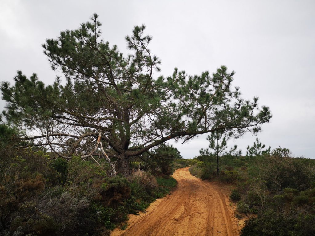 Wandelen op de Fishermen's Trail - Portugal