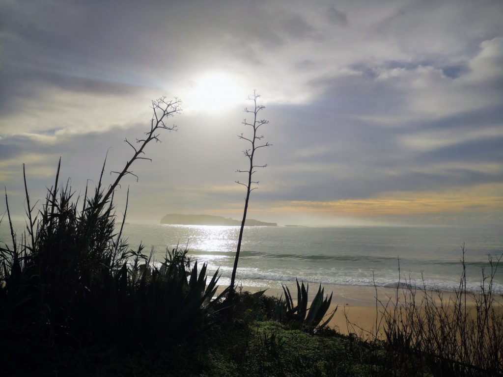 The Fishermen's Trail - Hiking along the coast in Portugal - Part 2