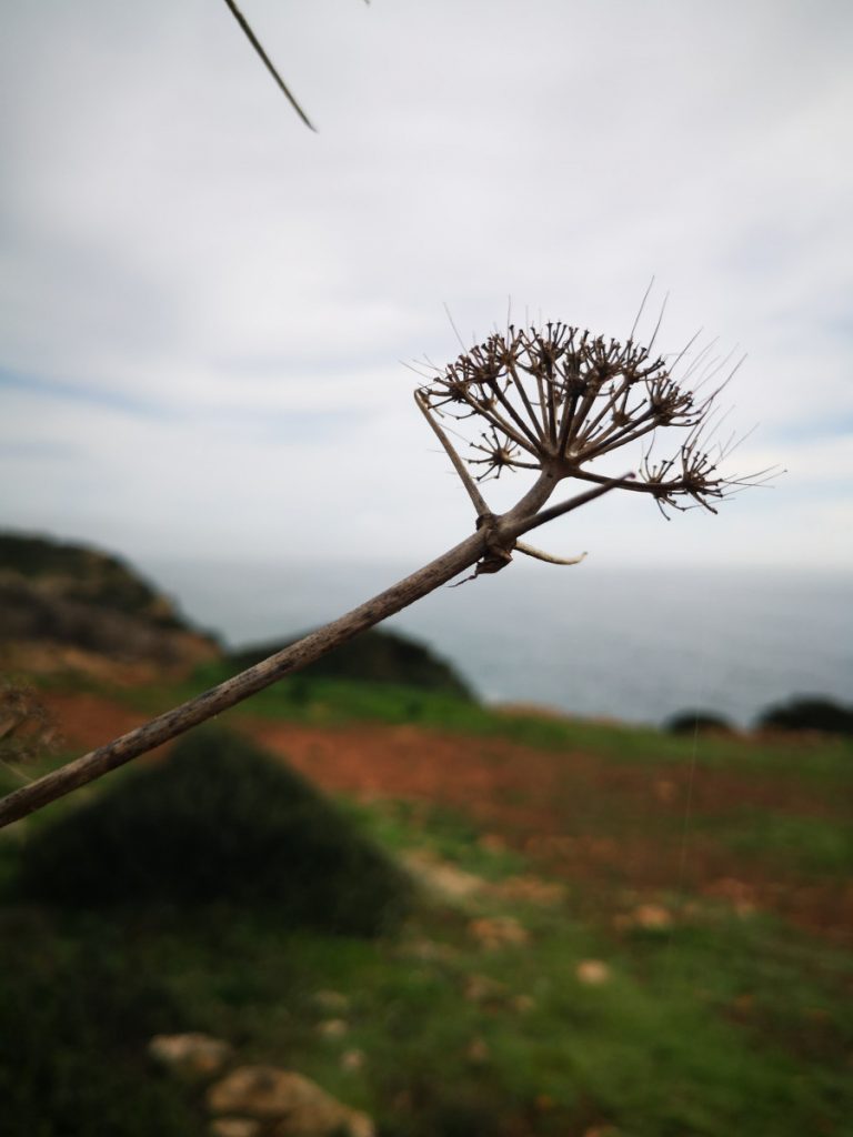 The Fishermen's Trail - Hiking along the coast in Portugal - Part 2