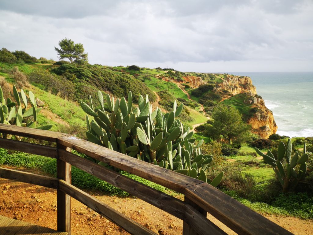 Wandelen langs de kust in Portugal - Fishermen's Trail