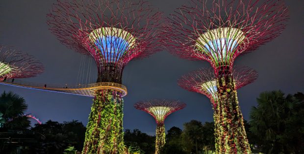 Supertrees - Gardens by the Bay - Singapore