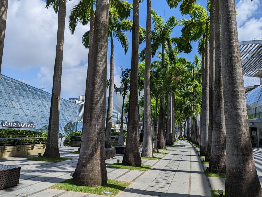Palmbomen opgedragen aan Olympische teams - Marina Bay Sands - Wandelingen in Singapore