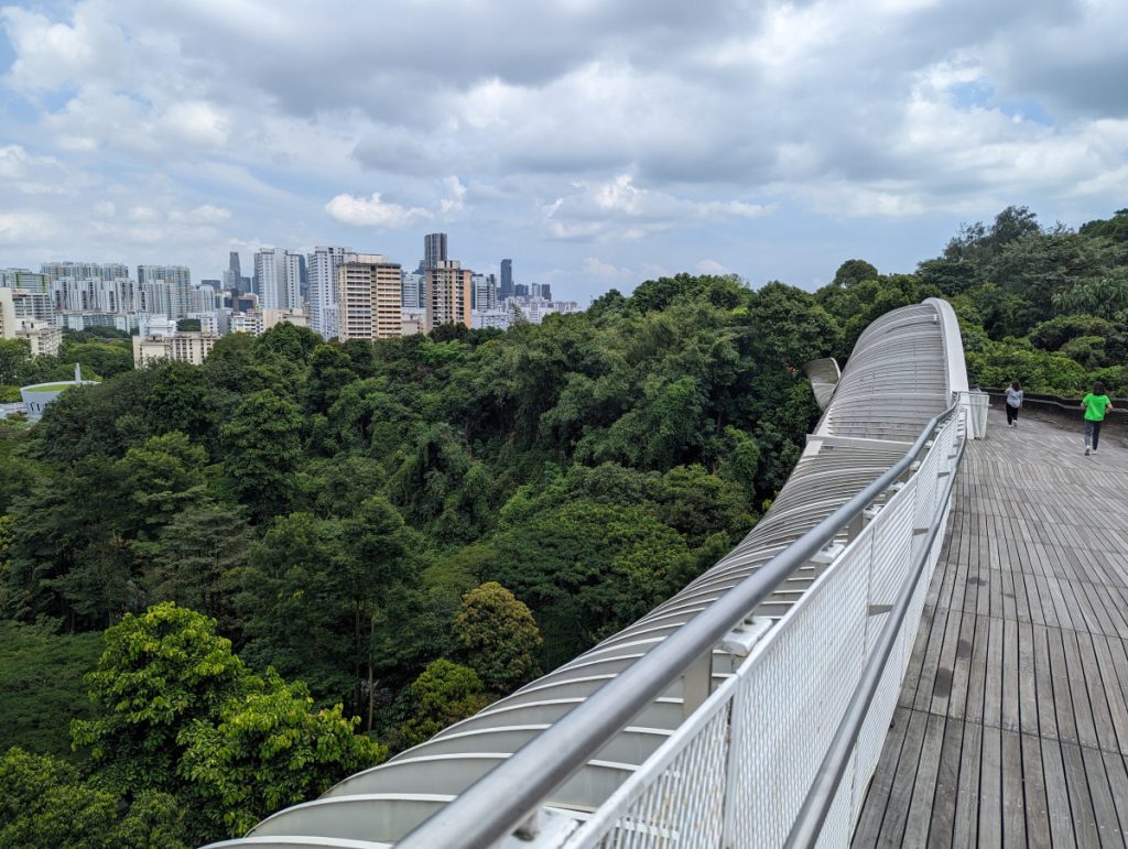 Henderson Waves - Hiking in Singapore