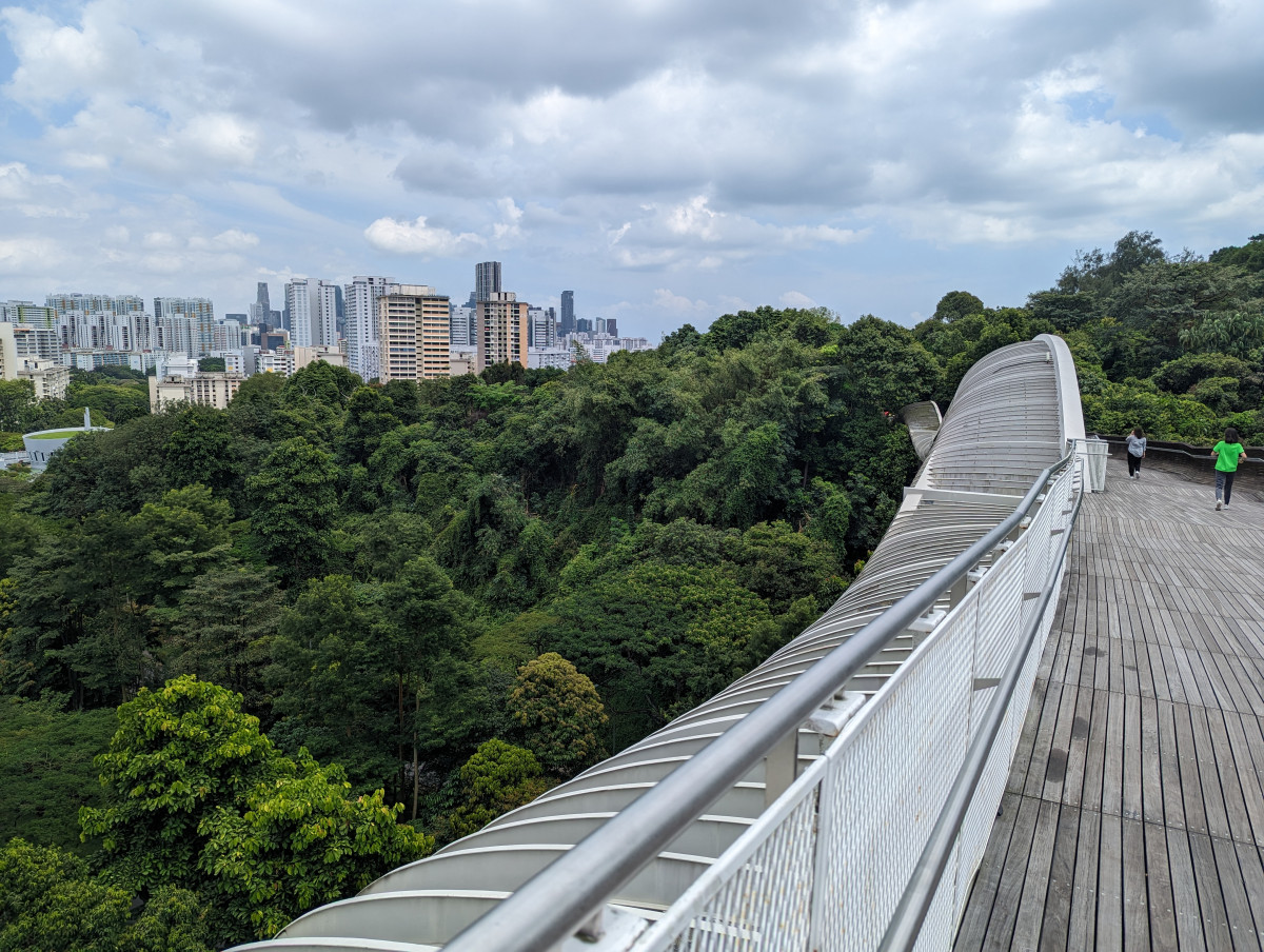 Henderson Waves - Wandelen in Singapore