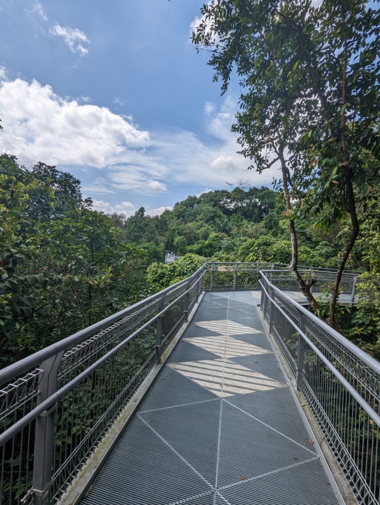 Forest Walk in Telok Blangah Green Hill Park - Hiking in Singapore