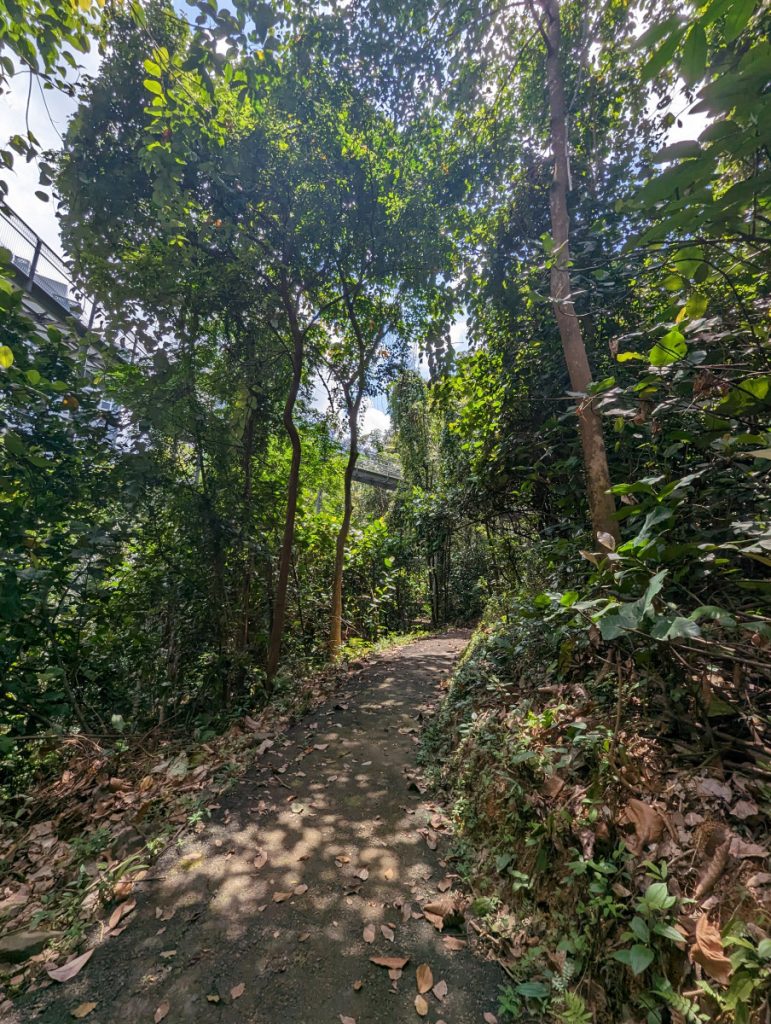 Earth Trail in Telok Blangah Hill Park - Wandelen in Singapore