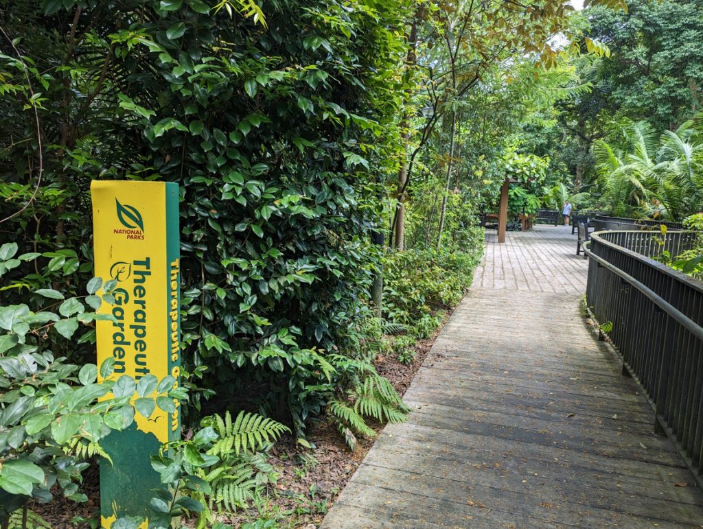 Southern Ridges - Wandelen in Singapore