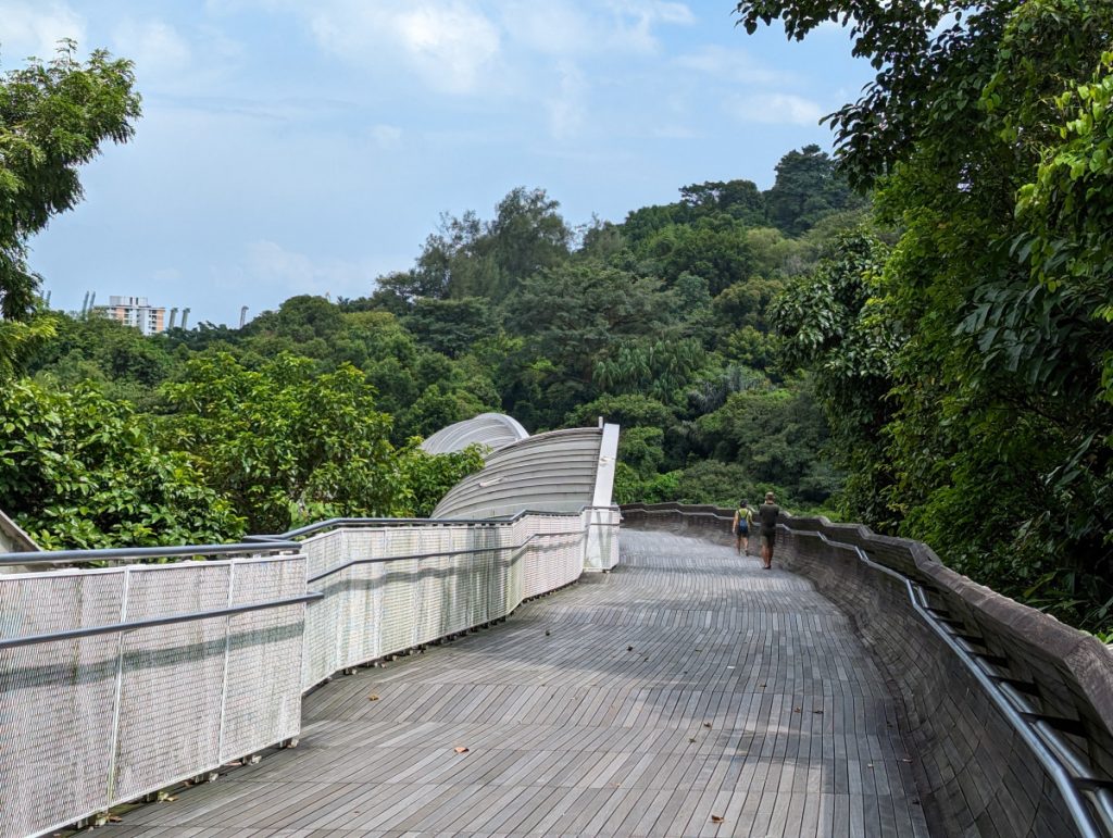 8 x inspiration for hiking in Singapore - Henderson Waves