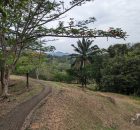 Wandeling op Bukit China - Melaka