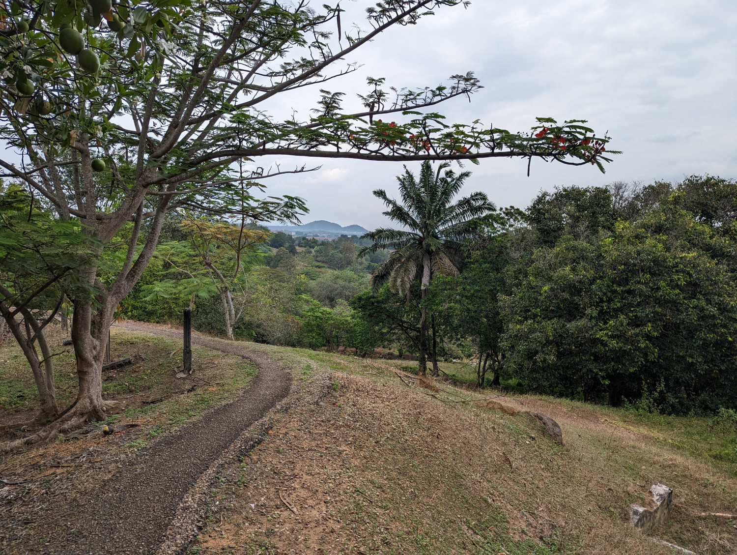 Wandeling op Bukit China - Melaka