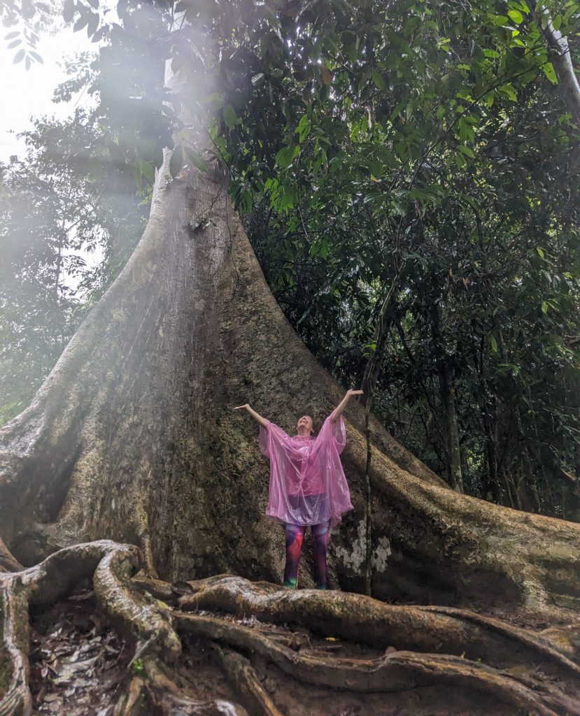 Visit the world's oldest rainforest the Taman Negara - Hiking in the Taman Negara, Malaysia