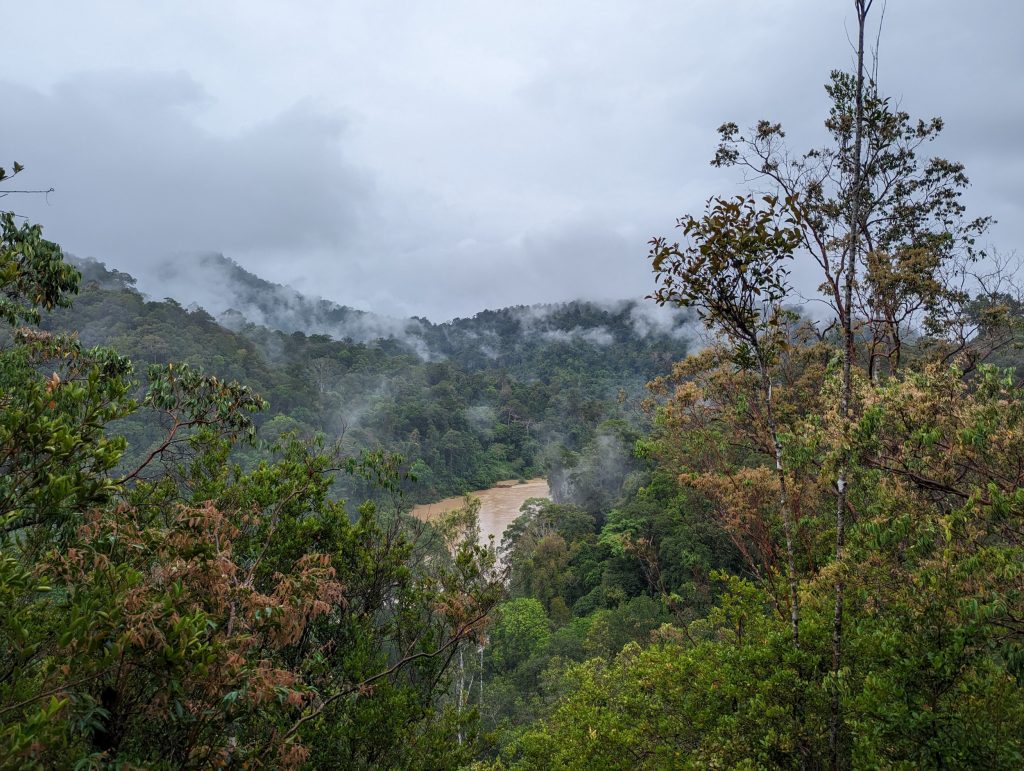 Bezoek het oudste regenwoud ter wereld de Taman Negara - Wandelen in het regenwoud Taman Negara, Maleisië