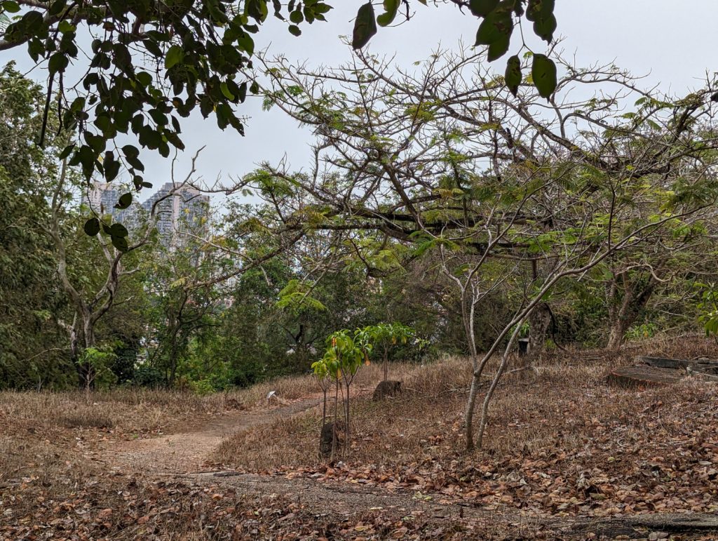 Hiking on Bukit China in Melaka - Mysterious walk across ancient Chinese cemetery - Melaka, Malaysia