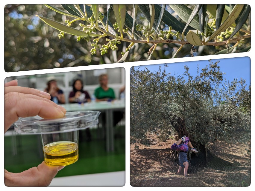 Hoogtepunten Sierra Subbetica - Andalusië, Spanje