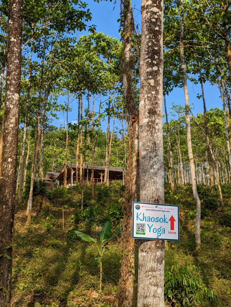 Yoga class at Khaosok Yoga in Khao Sok National Park - Thailand