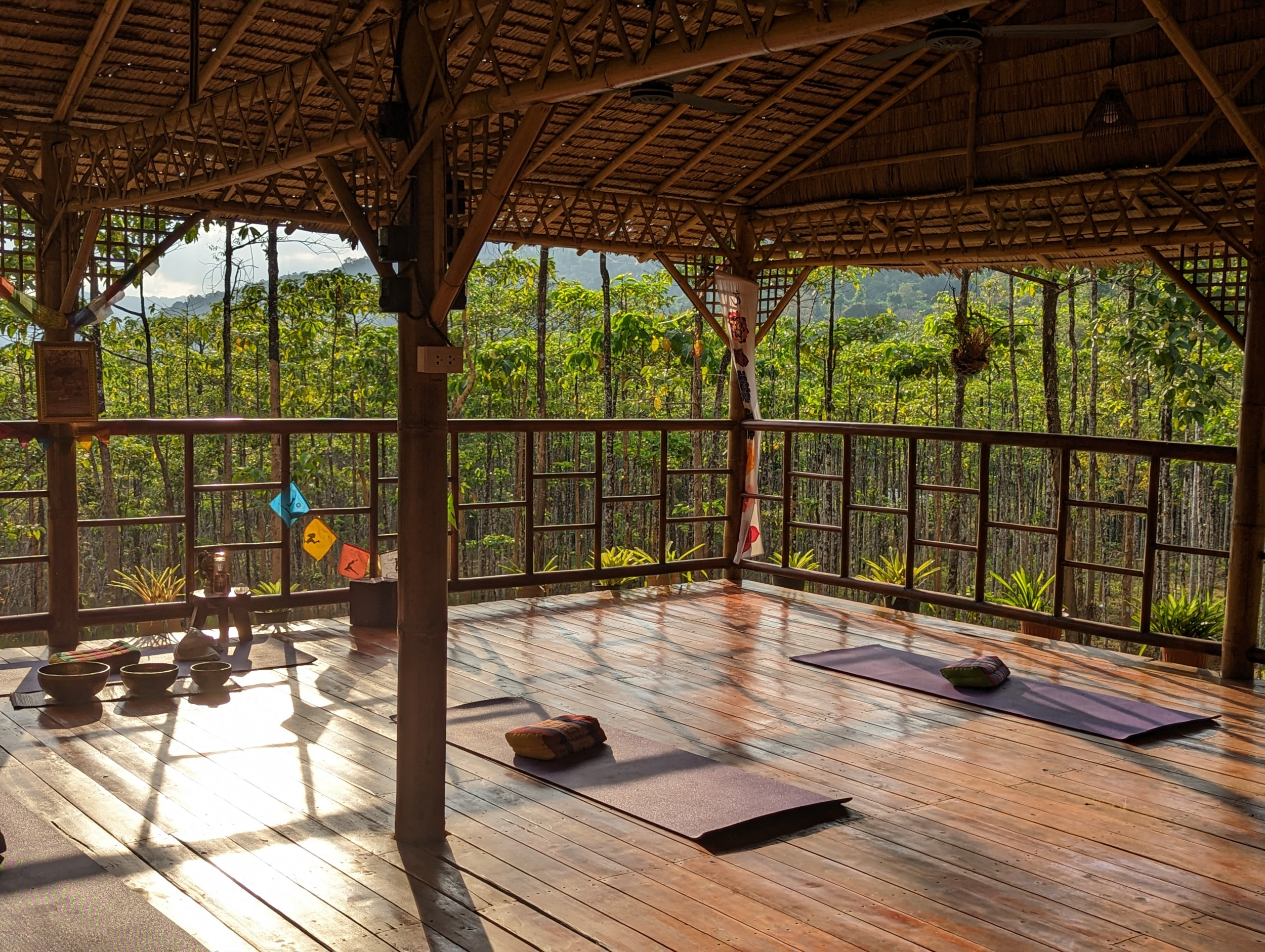 Yogales in Khao Sok NP - Thailand