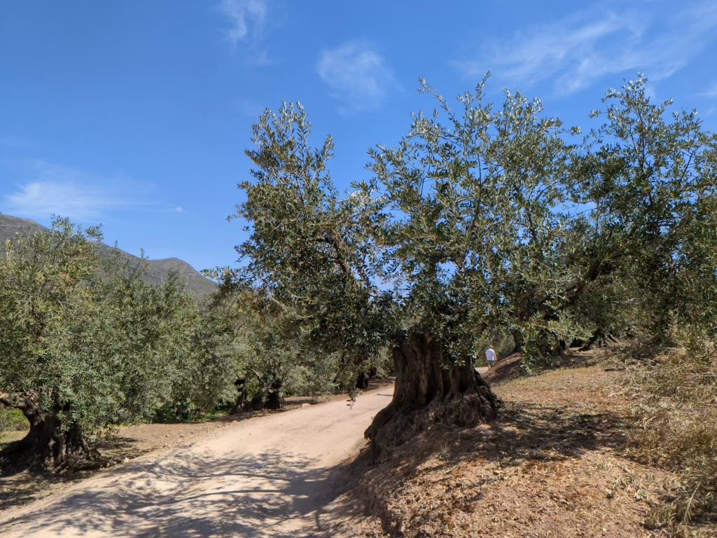 Hoogtepunten Sierra Subbetica - Andalusië, Spanje