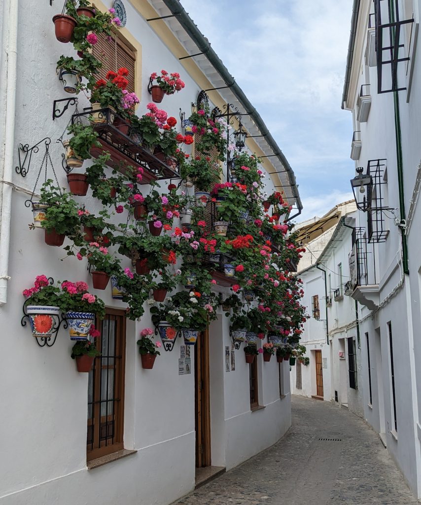 Hoogtepunten Sierra Subbetica - Olijfplantages, Patios en Via Verdes