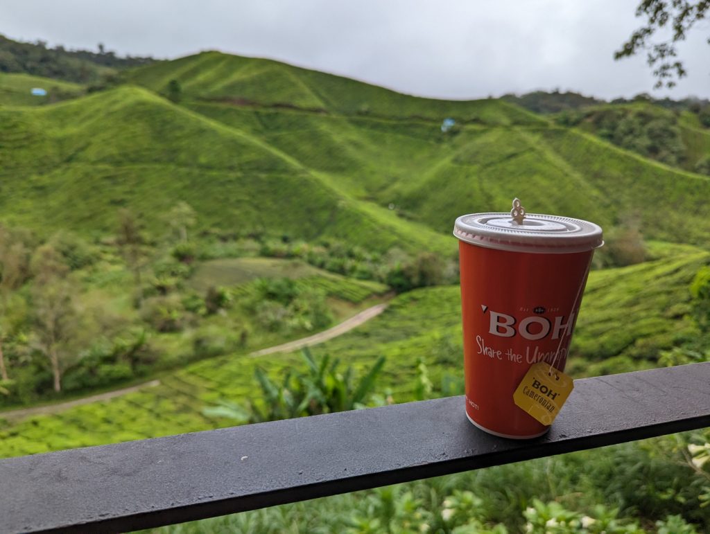 BOH Teaplantation Cameron Highlands - Maleisië
