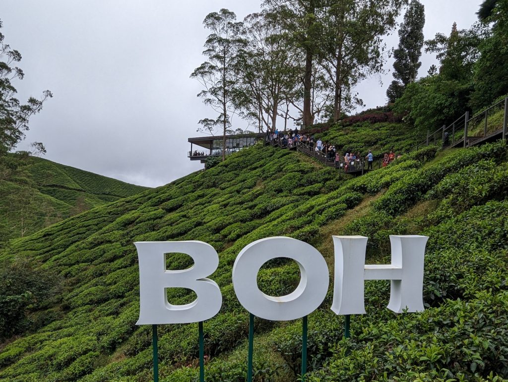 BOH Teaplantation Cameron Highlands - Tanah Rata, Malaysia