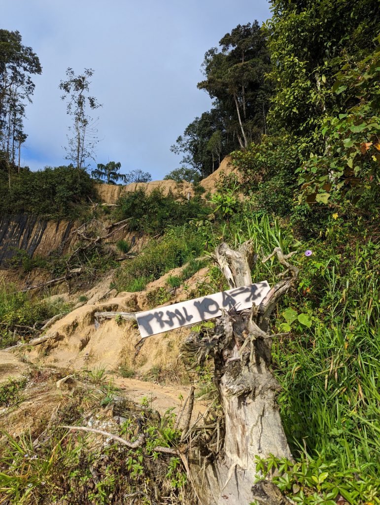 Wandelen in de theeplantages van Cameron Highlands, Tanah Rata, Maleisië