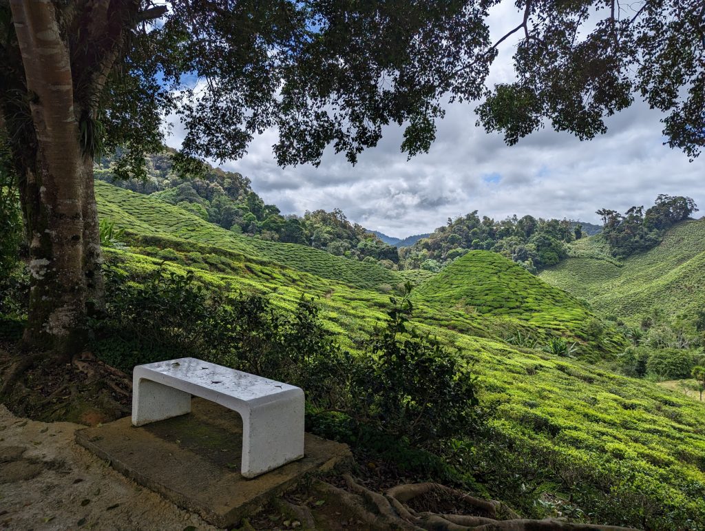 Bharat Teaplantation Cameron Highlands - Tanah Rata, Maleisië