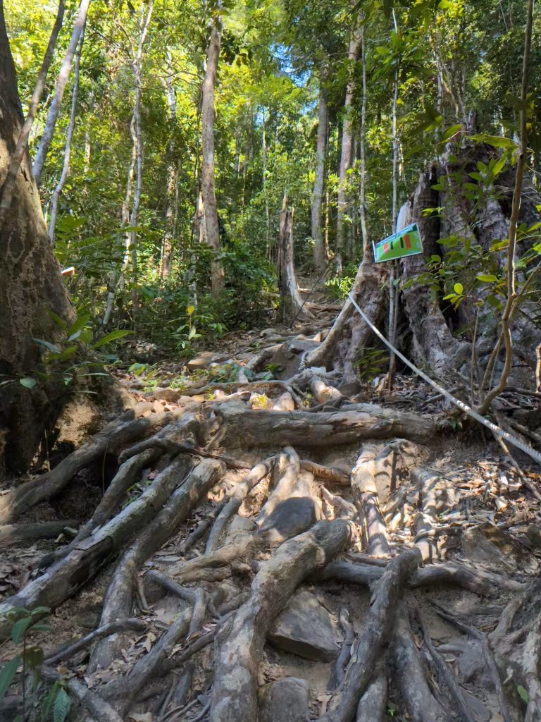 Zinvol Reizen op Gunung Machinchang Langkawi - 2x Geweldig Uitzicht - Hiken op Machinchang Trail of de kabelbaan naar Skybrigde Langkawi