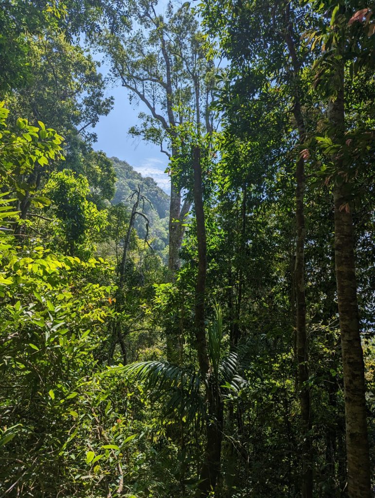 Meaningful Travel on Gunung Machinchang Langkawi, Malaysia - 2x Great Views - Hiking on Machinchang Trail or cable car to Skybrigde Langkawi