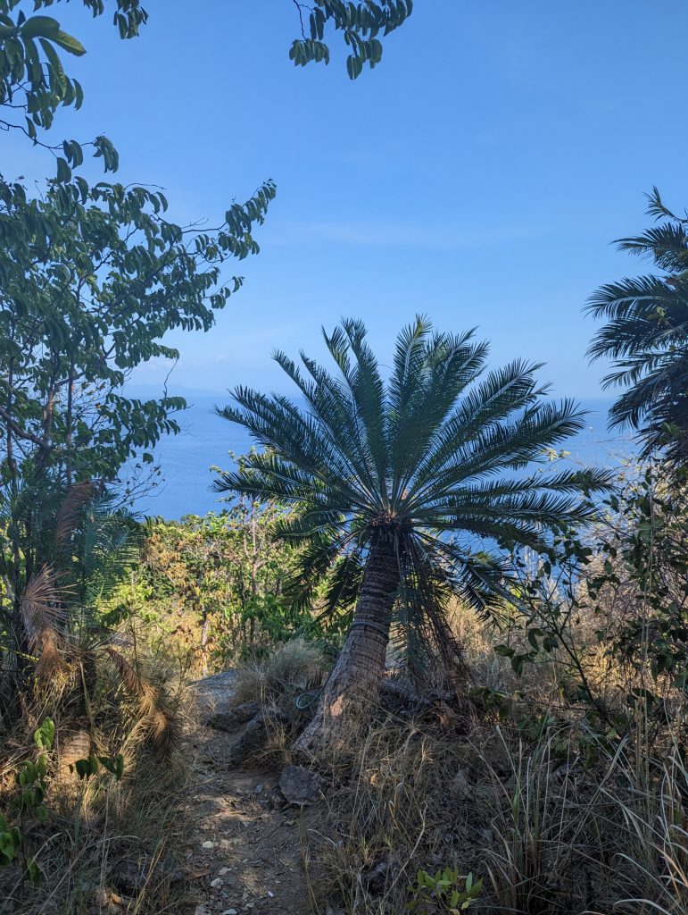 Wandelen op Ko Adang bij Koh Lipe - Tarutao NP Thailand