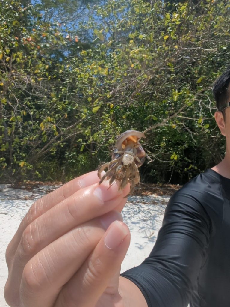 Snorkeltrip bij Koh Lipe - Tarutao NP Thailand