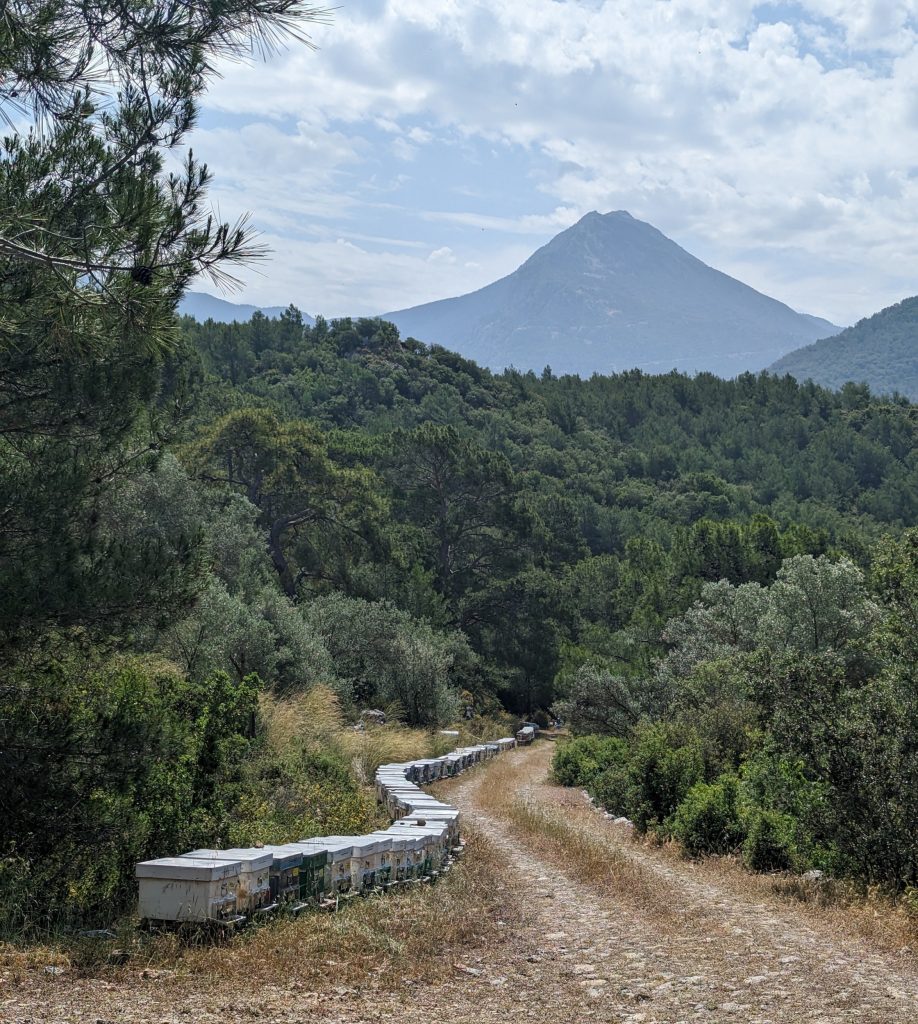 Allemaal bijenkasten nabij Kayakoy - Turkije