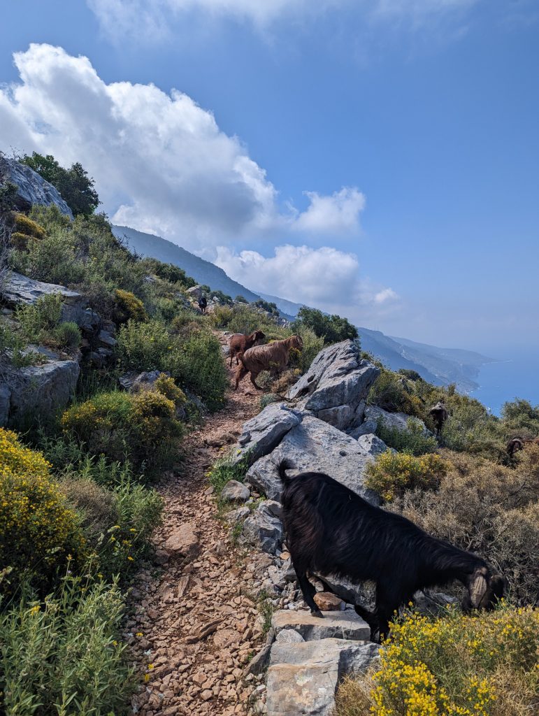 Wandelen langs de Lycische Kust in Turkije - Lycian Way - Zinvol Reizen